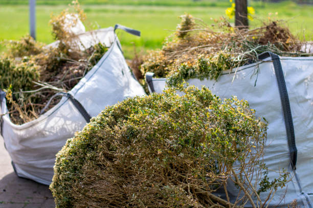 Professional Junk Removal Services in Valley Center, KS